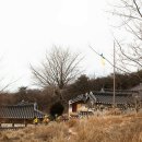 교동숲 이미지