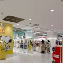 [일본]히로시마 쇼핑 추천 캐릭터 굿즈 천국 키디랜드 방문 후기