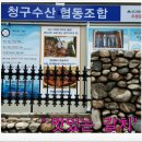 월성청구시장 이미지