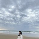 (주)조이버스 | 호주 멜버른 조이투어 후기/그레이트오션로드 투어🇳🇿/퍼핑기차/필립 아일랜드/마루동물원