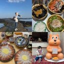 올레타이어샵 | 23개월 아기랑 다녀온 제주여행 2일차(김녕바닷길, 성산포항, 우도, 고등어 딱새우회)