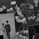 옥계2공단로-56 이미지