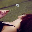 사랑결혼정보 이미지