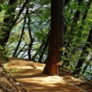 평화황토 이미지