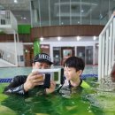 로만바스 수영장 이미지