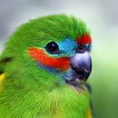 오늘도땡큐 이미지