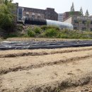 대지부동산중개사무소 이미지