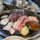 시골돼지집 - 창원시 마산합포구 산호북18길 25 | 시골돼지집