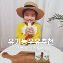 초등학생 우리 아이가 좋아하는 유기농 우유 고소하고 안심되는 파스퇴르 저온살균우유 후기