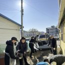 사랑애(愛) 이미지