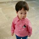 레쁘띠 이미지