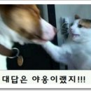레전드학원 - 청주시 서원구 예체로29번길 17 | 레전드학원