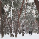 러브레터 이미지