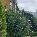 신개금LG(1차,2차) 이미지