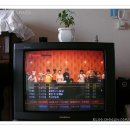 스쿨연리지