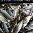 8월30일 : 생선바구니 (주말특별배송됩니다.) 이미지