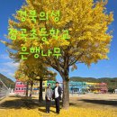 점곡초등학교 이미지