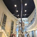 고성정비 | 고성 아이와 가볼만한곳 4세 남아 고성공룡박물관 후기