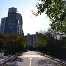 파크빌 - 계양구 오조산로57번길 11-1 | 파크빌
