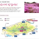 2022. 4. 16(토) 대전충일산악회 고려산 진달래 축제 산행일정 이미지