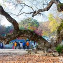 도산서원 주차장 화장실 이미지