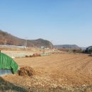 좋은터좋은집공인중개사사무소 이미지