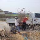 동산3리 이미지