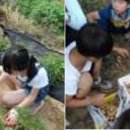 신화초등학교 이미지