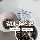 코아동물병원 | 펫드롬 강아지유산균 후기 강아지설사·강아지소화불량 관리용 급여후기