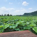 명주농장 이미지