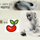 씨알 이미지