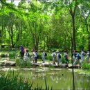 동덕유치원 이미지