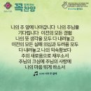 콩깍지 이미지