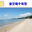국내 여름 여행지 추천 전남 보성 율포솔밭해수욕장 노지캠핑장 외~