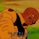 썬플라워 이미지