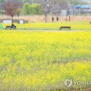 금호강8 이미지