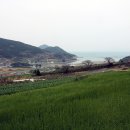 청산도 상서마을 옛 담장 이미지