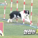 굿프랜드 이미지