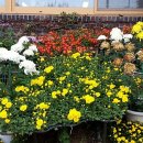 북구청 민원실 앞 이미지