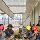 늘찬자연음식연구소 이미지