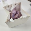 [일산/백석역 떡집] 상견례, 답례품 준비, 선물하기 좋은 떡집 &#39;살짝쿵떡&#39; 내돈내산 후기(무지개 바람떡)