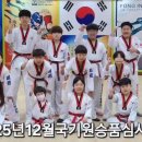 용인대 미르 태권도장 이미지