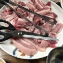 인천 강원정육식당: 고기 맛집의 모든 것