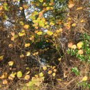 고사농장 이미지