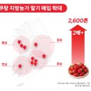 열매영농조합법인 이미지