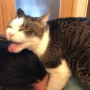 그루밍 스튜디오 이미지