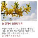 혜현윤공인중개사사무소 네이버블로그