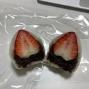 말랑한 모찌모찌