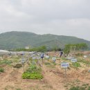 도남농장 이미지