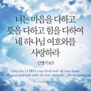 사랑하라 이미지